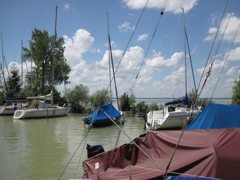 hochwasser2013-16.jpg